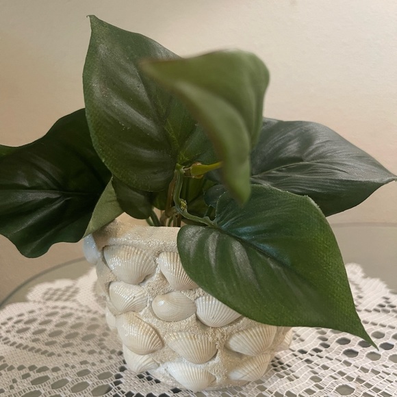 Small Seashell Flower Pot - Picture 3 of 9